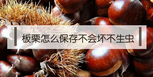 板栗怎么貯藏保存不變壞