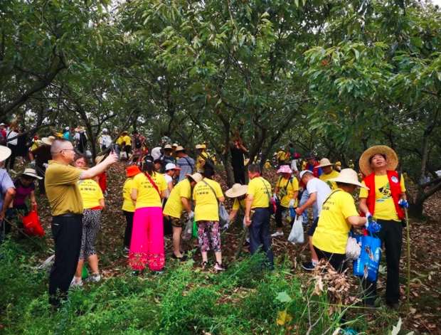 吃板栗有以下好處有哪些？